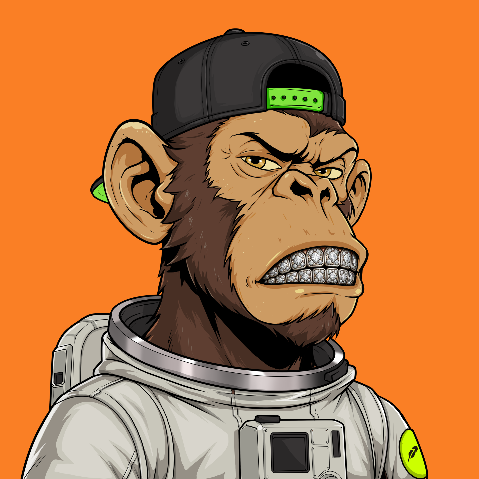 Media for Ape#1342 item