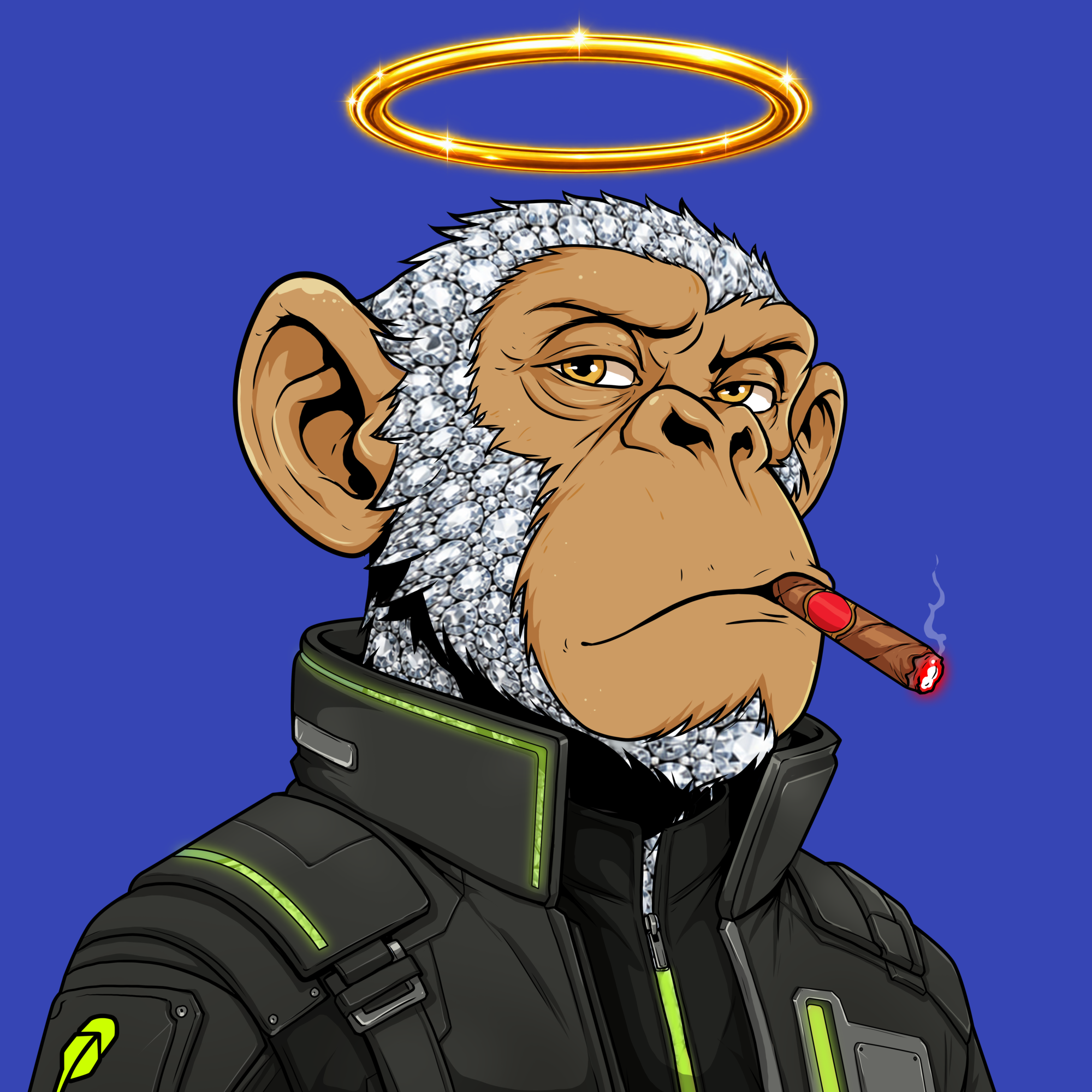 Image for Ape#1704 item