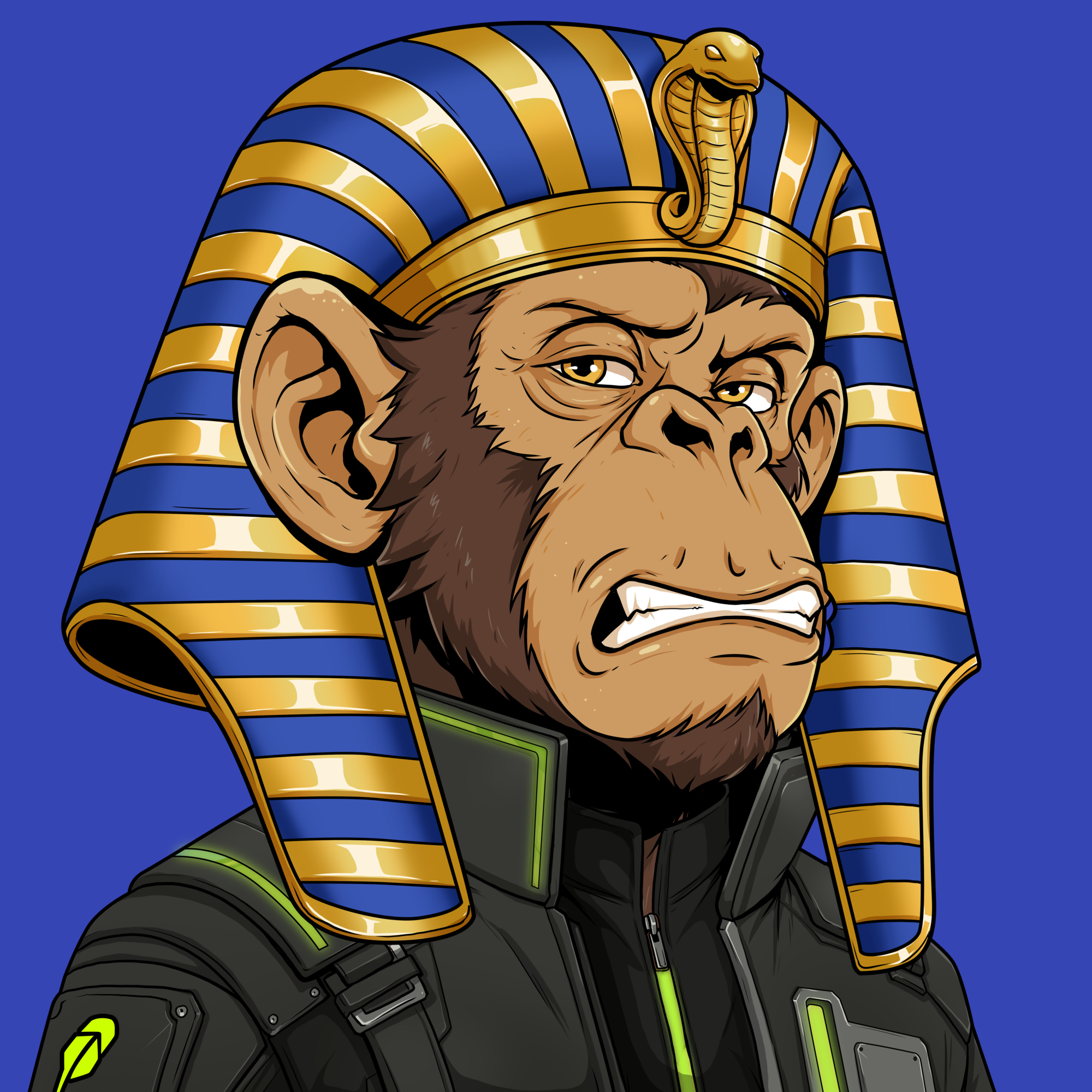 Image for Ape#1993 item