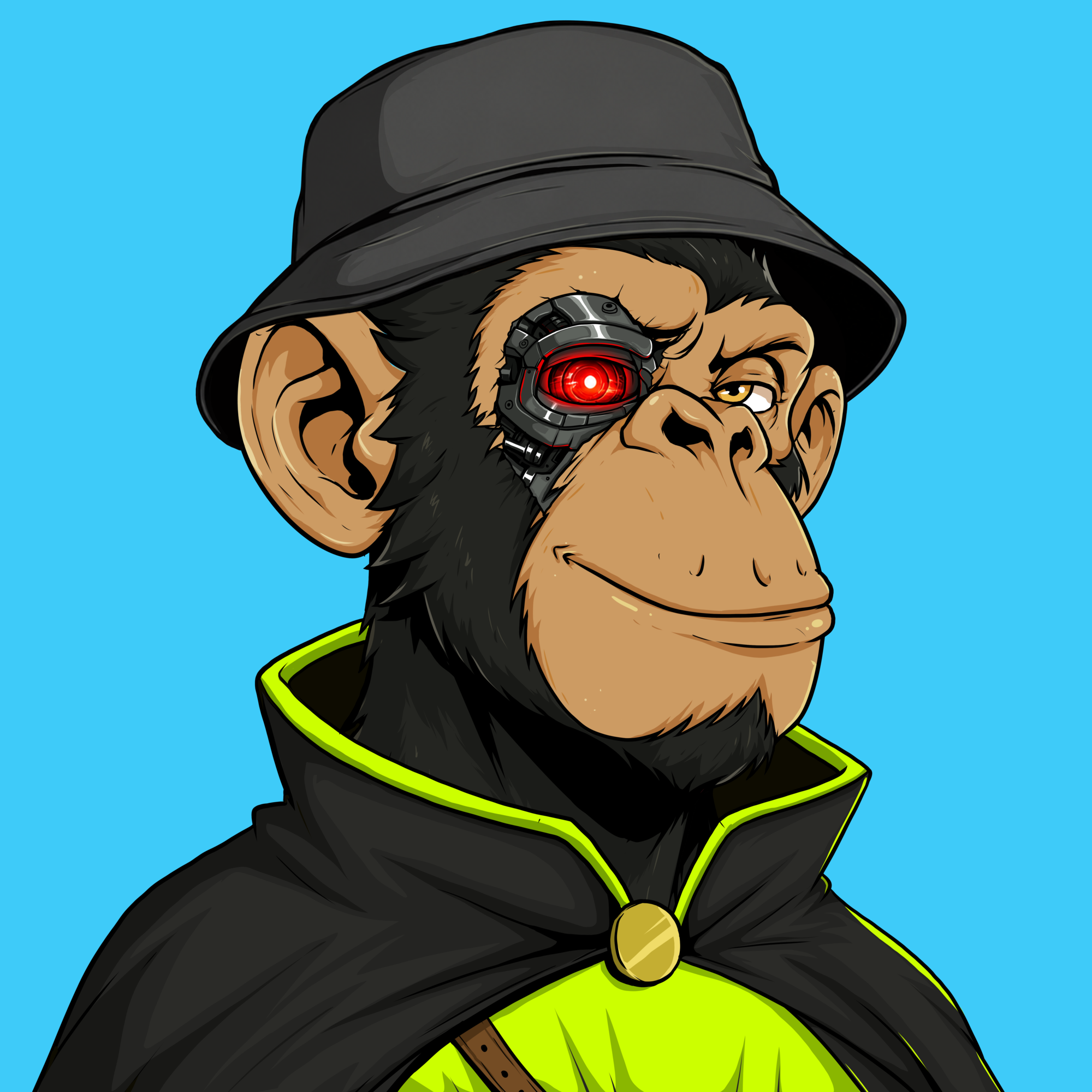 Image for Ape#0200 item