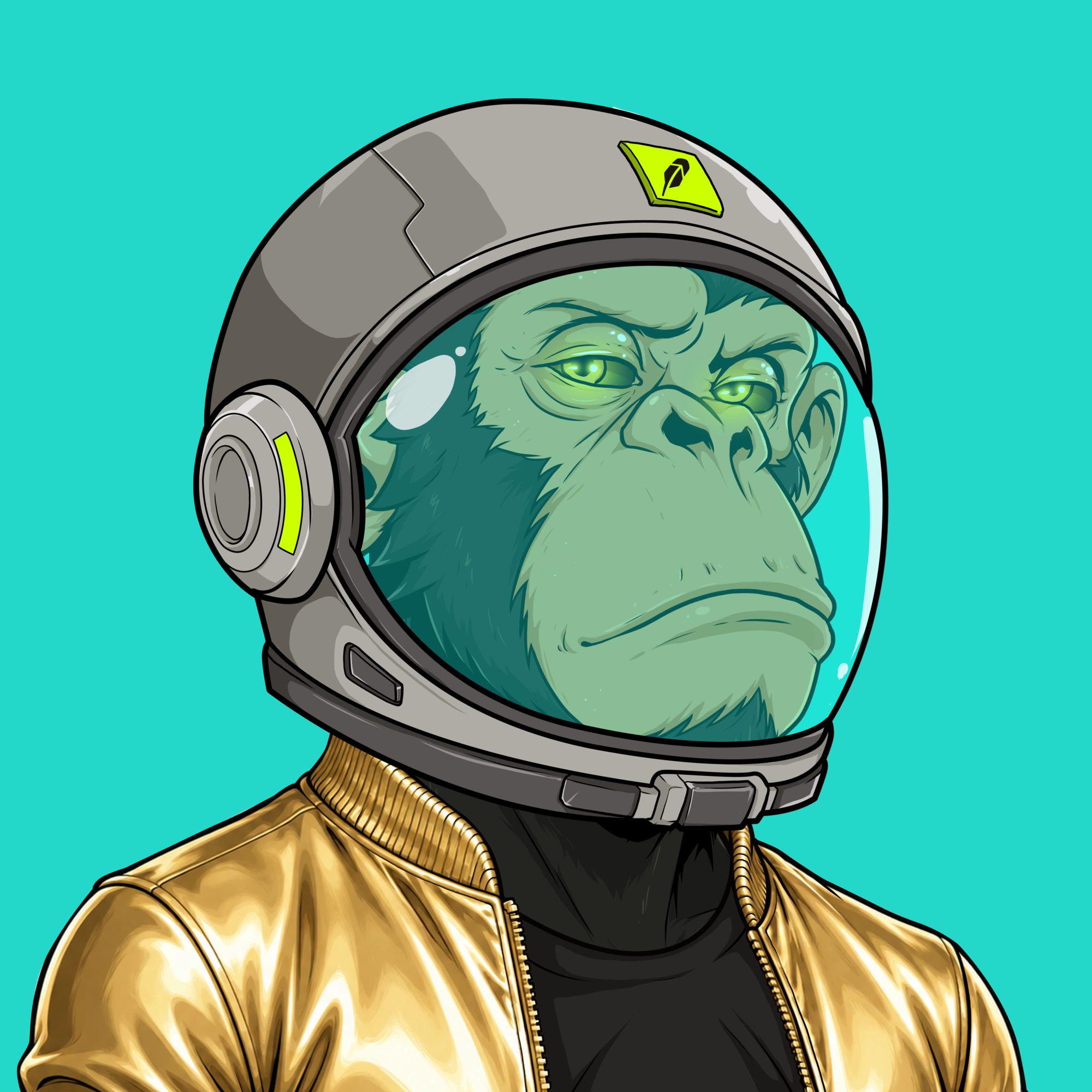 Image for Ape#0053 item