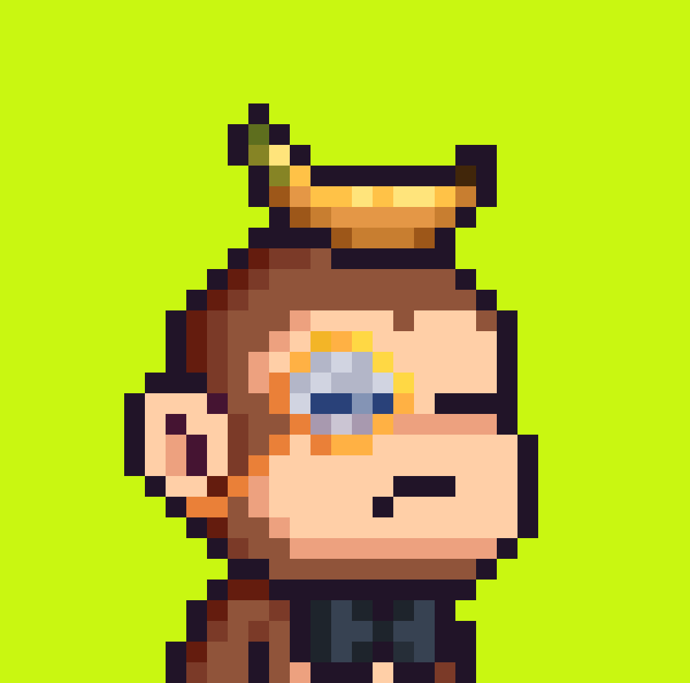 Media for Pixel Monkey Hood #4747 item