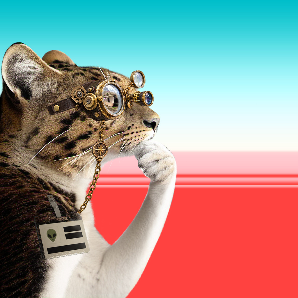 Media for Thinking Cat #9764 item