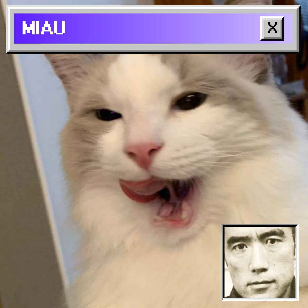Media for BOMM, THE CAT #73 item